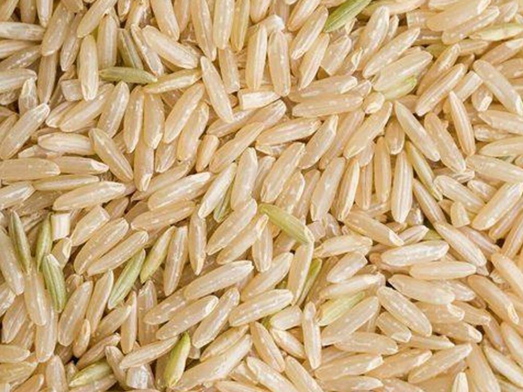 SSB Export is one of the leading Non-Basmati Rice Exporters from India