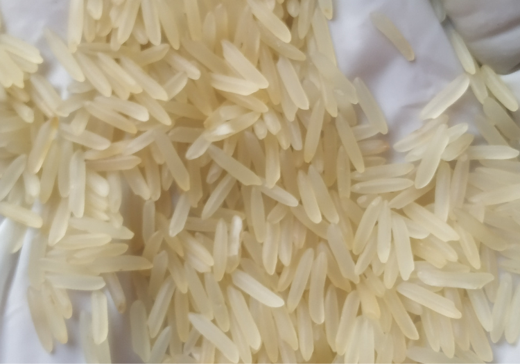 SSB Export : leading company in basmati rice export from India