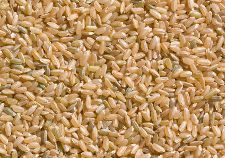 short grain brown rice from india