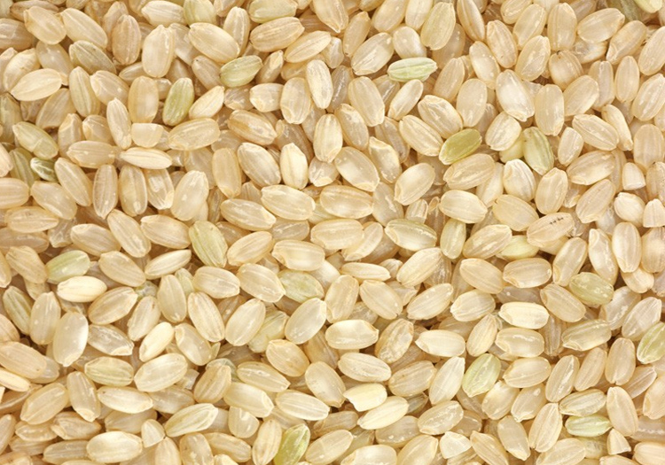 round grain brown rice exporters from India