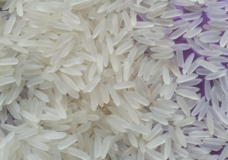 white rice exporters from india