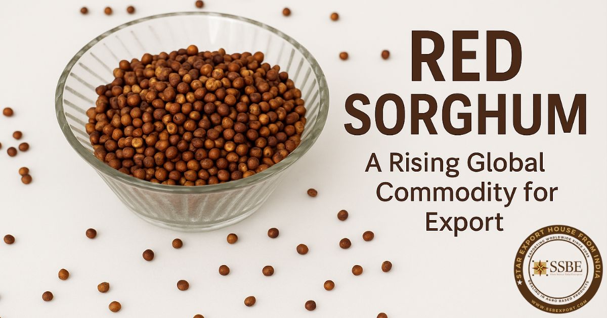 Red Sorghum for export from India