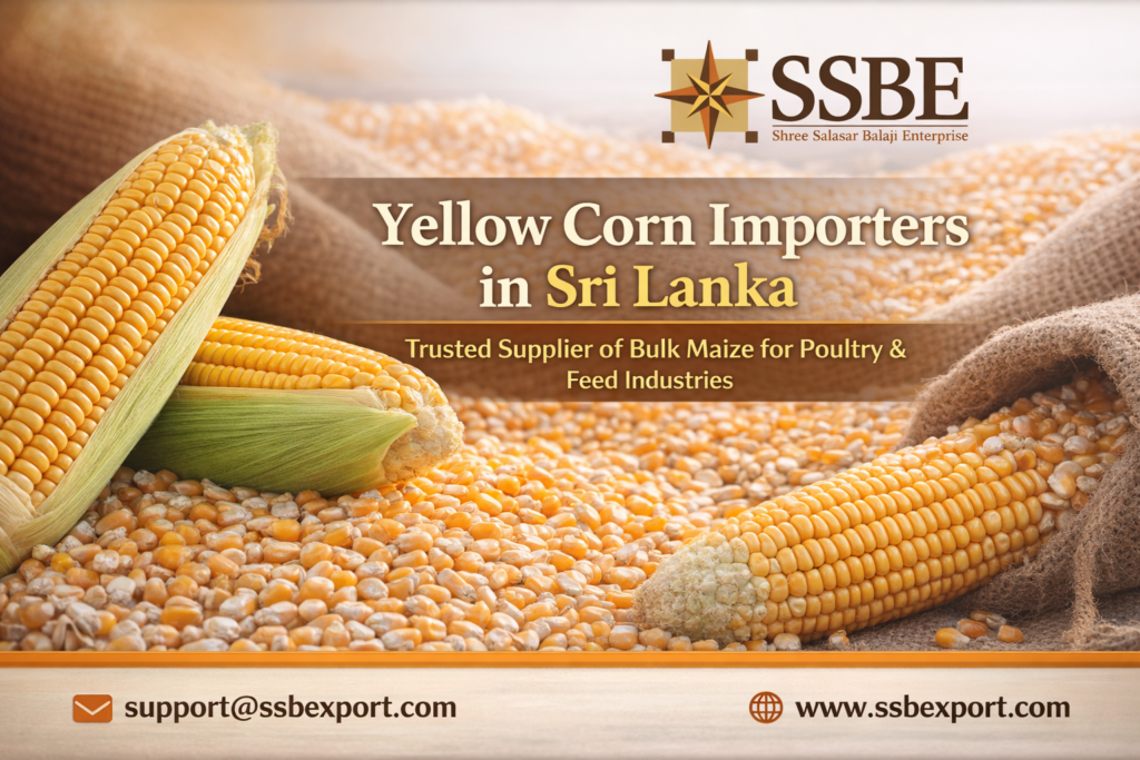 SSBE Yellow Corn Importers in Sri Lanka
