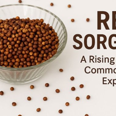 Red Sorghum for export from India Red Sorghum for export from India