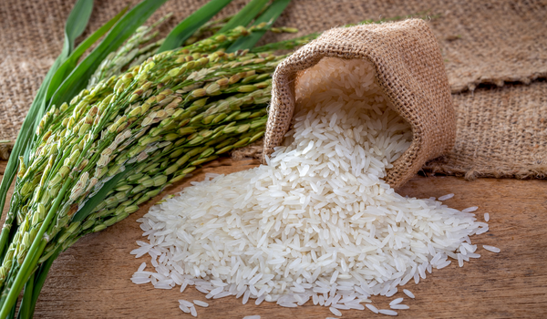 Largest Producer Of Rice & Maize In India, Rice Exporter-SSB Export